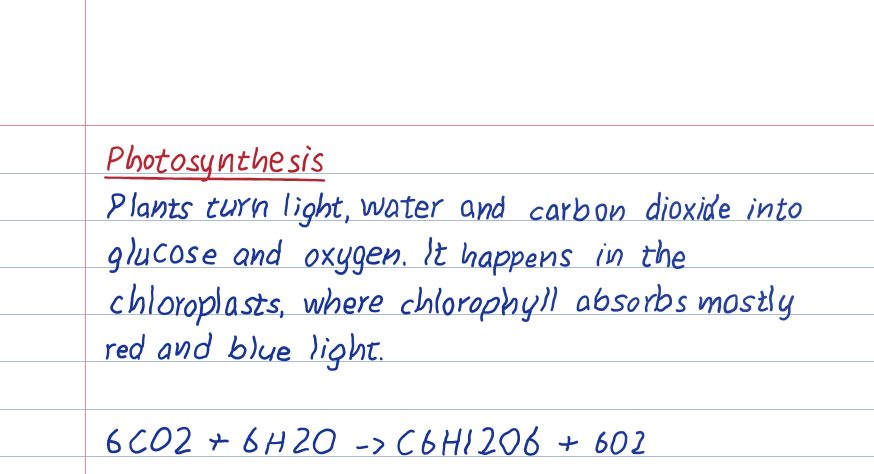 Handwritten notes with a red underlined heading